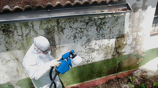 Top rated local Crawl Space Mold Remediation specialists in Ashburn, GA